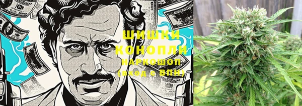 бошки Няндома