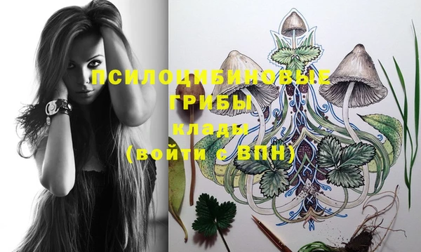 PSILOCYBIN Нязепетровск