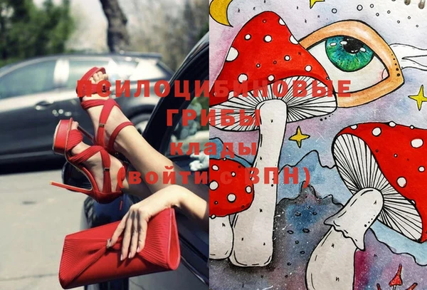 PSILOCYBIN Нязепетровск