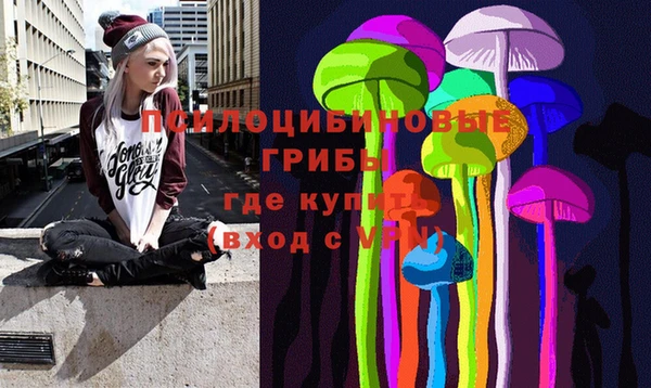 PSILOCYBIN Нязепетровск