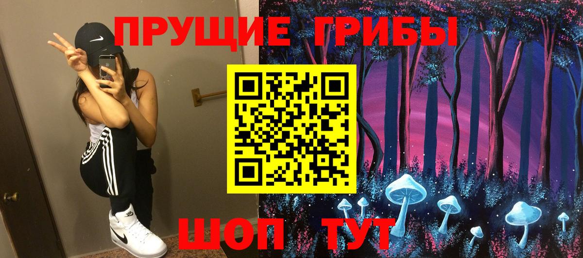 Псилоцибиновые грибы Psilocybine cubensis Усть-Лабинск